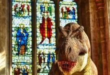 T.rex: The Killer Question exhibition at Peterborough Cathedral. Photo © Peterborough Cathedral / John Baker
