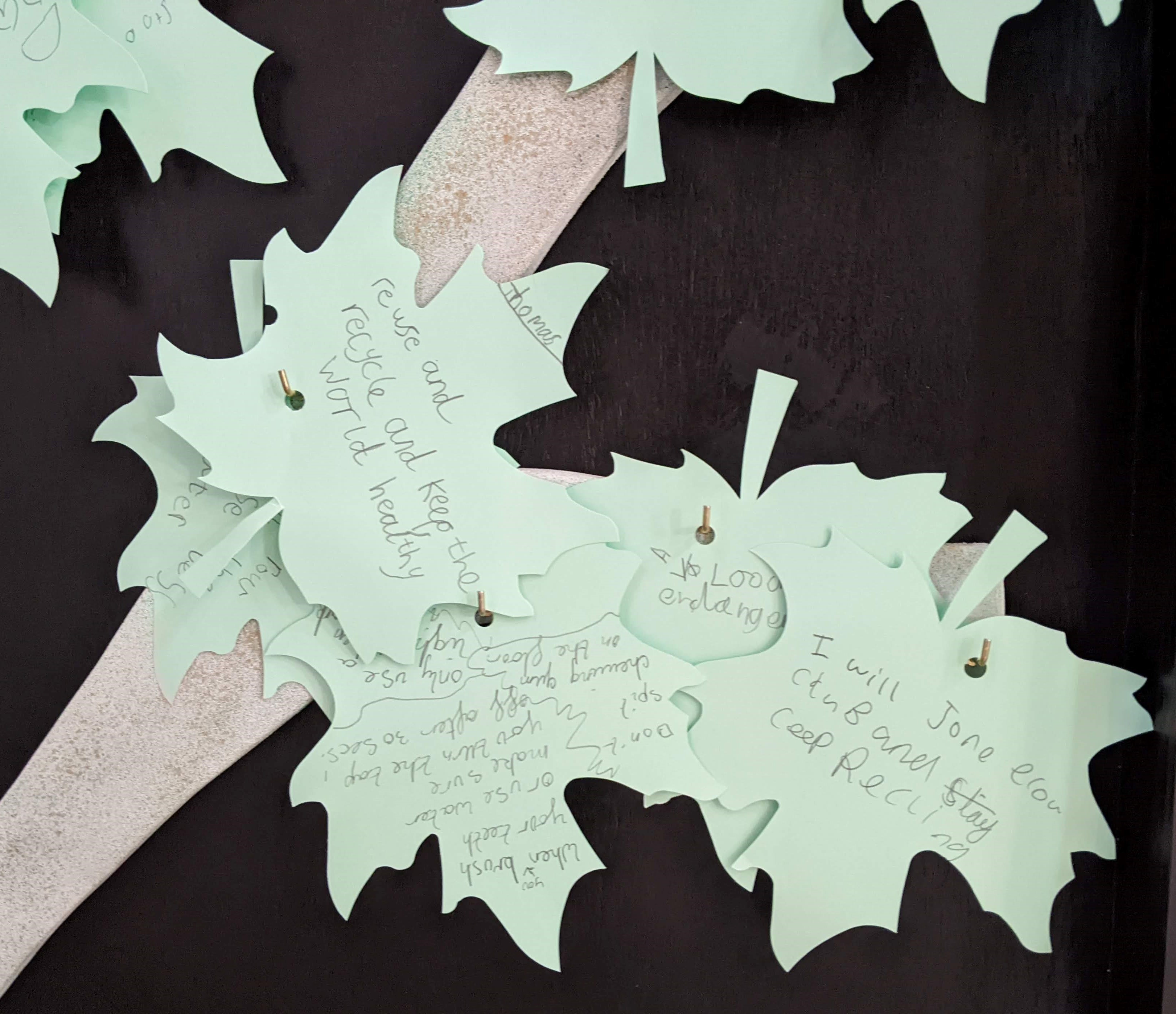Paper leaves with pledges written on them